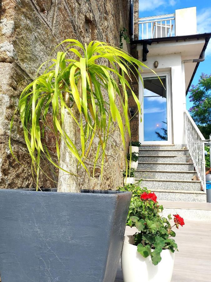 Villa Pepe, Casa Compartida Pontevedra Exteriér fotografie